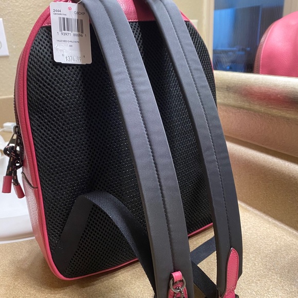 Coach medium backpack..pink main image 4